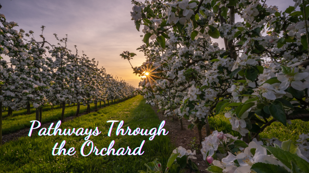 Pathways Through the Orchard